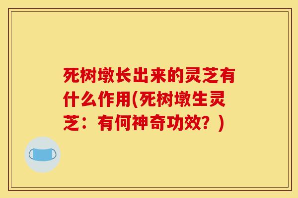 死树墩长出来的灵芝有什么作用(死树墩生灵芝：有何神奇功效？)