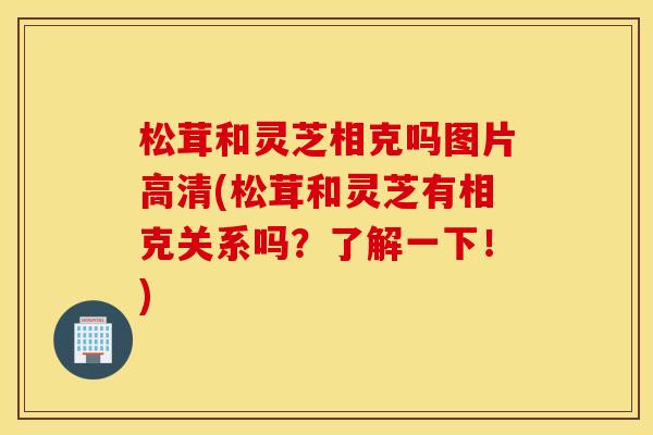 松茸和灵芝相克吗图片高清(松茸和灵芝有相克关系吗？了解一下！)