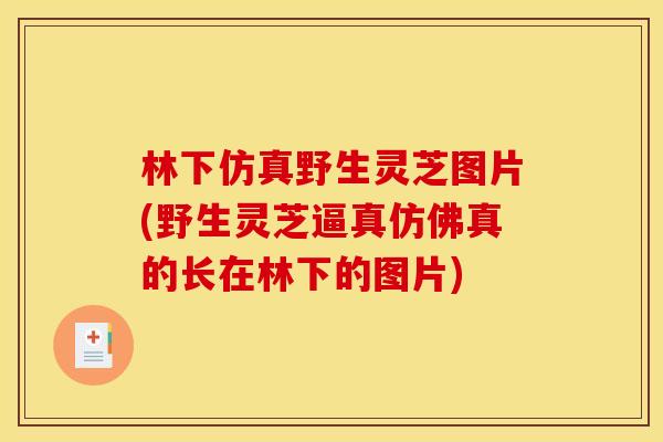 林下仿真野生灵芝图片(野生灵芝逼真仿佛真的长在林下的图片)