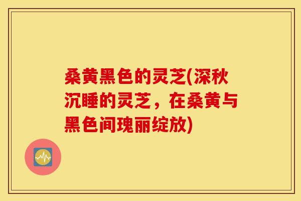 桑黄黑色的灵芝(深秋沉睡的灵芝，在桑黄与黑色间瑰丽绽放)
