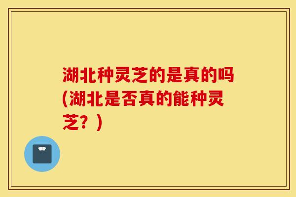 湖北种灵芝的是真的吗(湖北是否真的能种灵芝？)