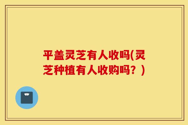 平盖灵芝有人收吗(灵芝种植有人收购吗？)