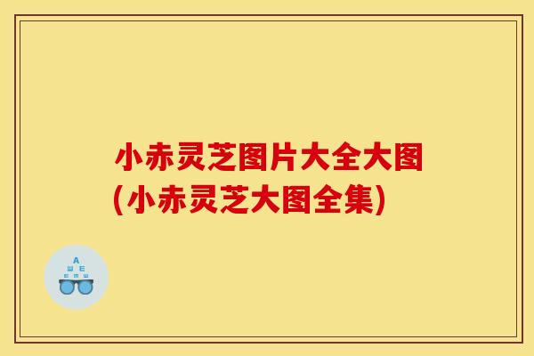 小赤灵芝图片大全大图(小赤灵芝大图全集)