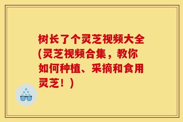 树长了个灵芝视频大全(灵芝视频合集，教你如何种植、采摘和食用灵芝！)