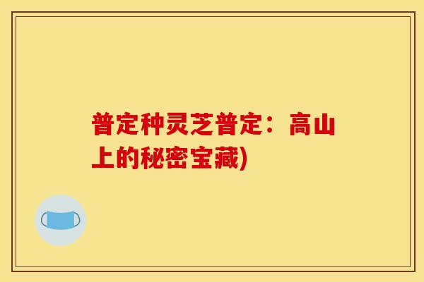 普定种灵芝普定：高山上的秘密宝藏)