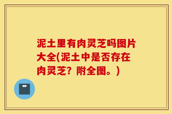 泥土里有肉灵芝吗图片大全(泥土中是否存在肉灵芝？附全图。)