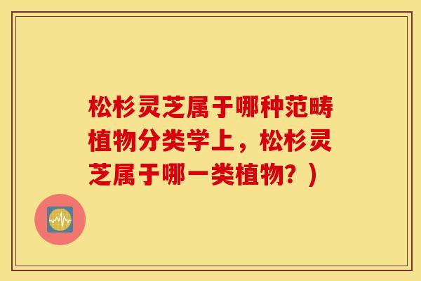 松杉灵芝属于哪种范畴植物分类学上，松杉灵芝属于哪一类植物？)
