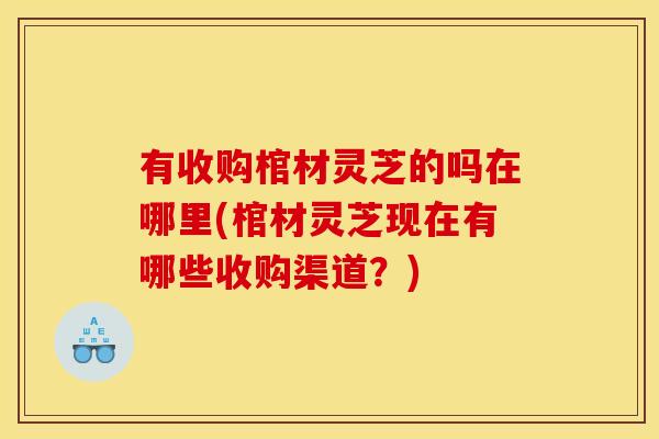 有收购棺材灵芝的吗在哪里(棺材灵芝现在有哪些收购渠道？)