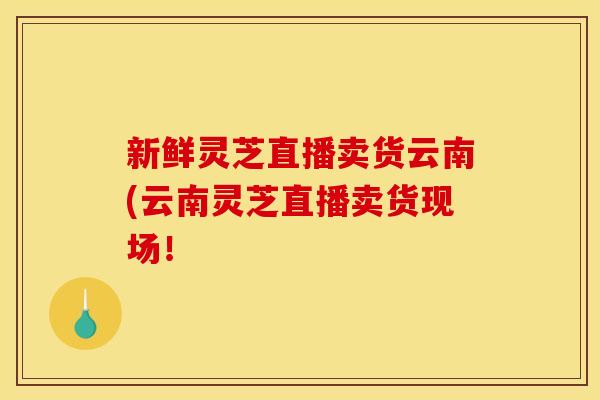 新鲜灵芝直播卖货云南(云南灵芝直播卖货现场！