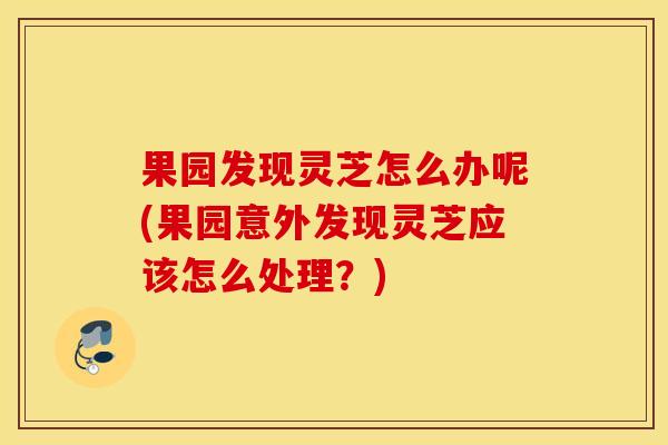果园发现灵芝怎么办呢(果园意外发现灵芝应该怎么处理？)