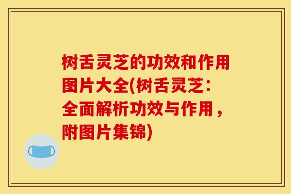 树舌灵芝的功效和作用图片大全(树舌灵芝：全面解析功效与作用，附图片集锦)
