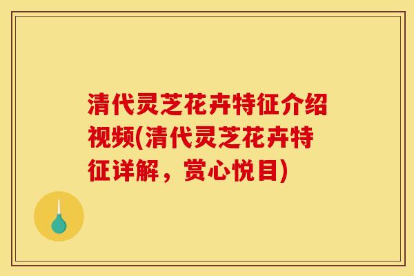 清代灵芝花卉特征介绍视频(清代灵芝花卉特征详解，赏心悦目)