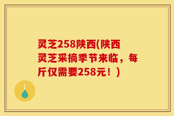 灵芝258陕西(陕西灵芝采摘季节来临，每斤仅需要258元！)