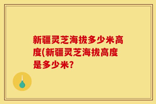 新疆灵芝海拔多少米高度(新疆灵芝海拔高度是多少米？