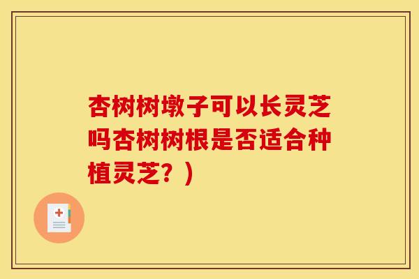 杏树树墩子可以长灵芝吗杏树树根是否适合种植灵芝？)
