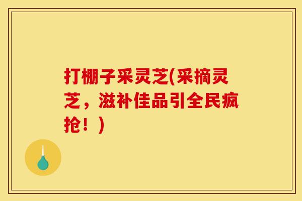 打棚子采灵芝(采摘灵芝，滋补佳品引全民疯抢！)