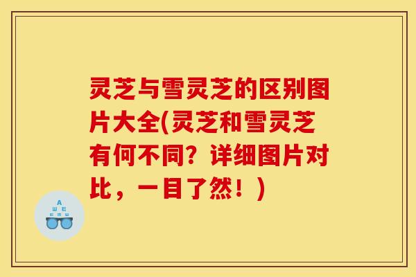 灵芝与雪灵芝的区别图片大全(灵芝和雪灵芝有何不同？详细图片对比，一目了然！)
