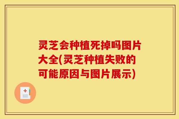 灵芝会种植死掉吗图片大全(灵芝种植失败的可能原因与图片展示)