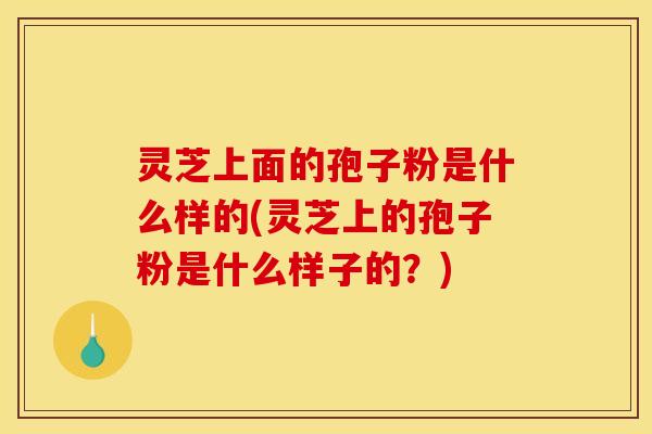 灵芝上面的孢子粉是什么样的(灵芝上的孢子粉是什么样子的？)