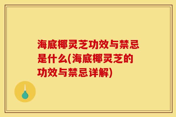海底椰灵芝功效与禁忌是什么(海底椰灵芝的功效与禁忌详解)