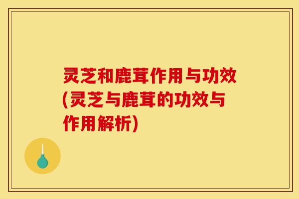 灵芝和鹿茸作用与功效(灵芝与鹿茸的功效与作用解析)