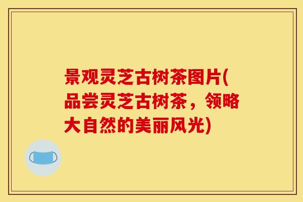 景观灵芝古树茶图片(品尝灵芝古树茶，领略大自然的美丽风光)