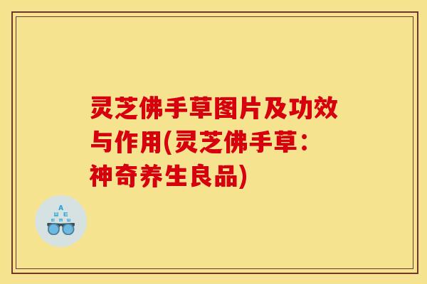 灵芝佛手草图片及功效与作用(灵芝佛手草：神奇养生良品)