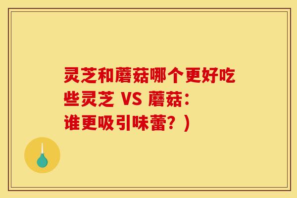 灵芝和蘑菇哪个更好吃些灵芝 VS 蘑菇：谁更吸引味蕾？)