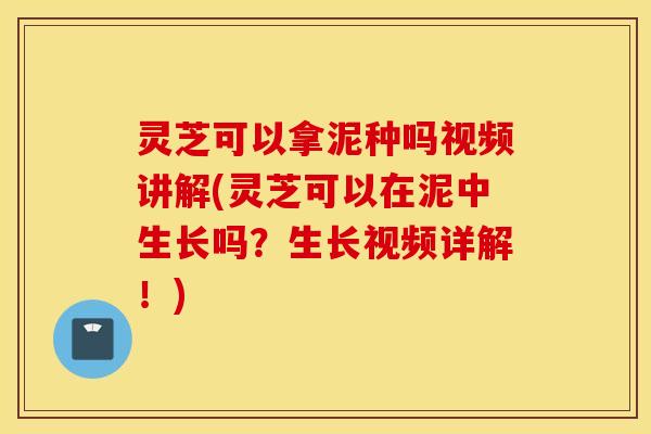 灵芝可以拿泥种吗视频讲解(灵芝可以在泥中生长吗？生长视频详解！)