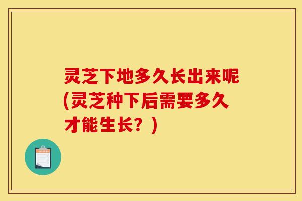 灵芝下地多久长出来呢(灵芝种下后需要多久才能生长？)