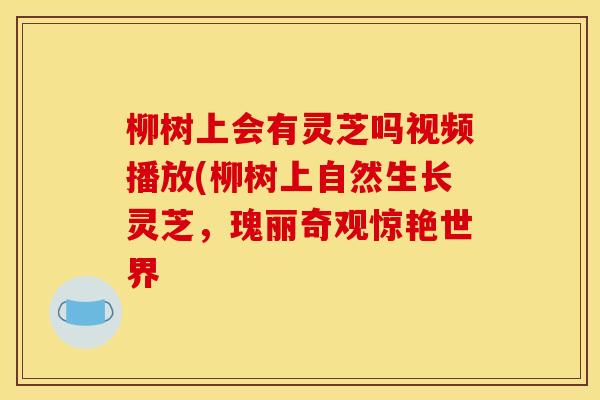 柳树上会有灵芝吗视频播放(柳树上自然生长灵芝，瑰丽奇观惊艳世界