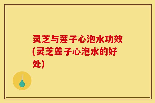 灵芝与莲子心泡水功效(灵芝莲子心泡水的好处)