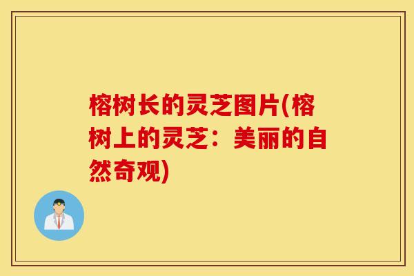 榕树长的灵芝图片(榕树上的灵芝：美丽的自然奇观)