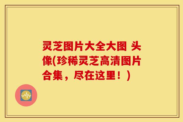 灵芝图片大全大图 头像(珍稀灵芝高清图片合集，尽在这里！)