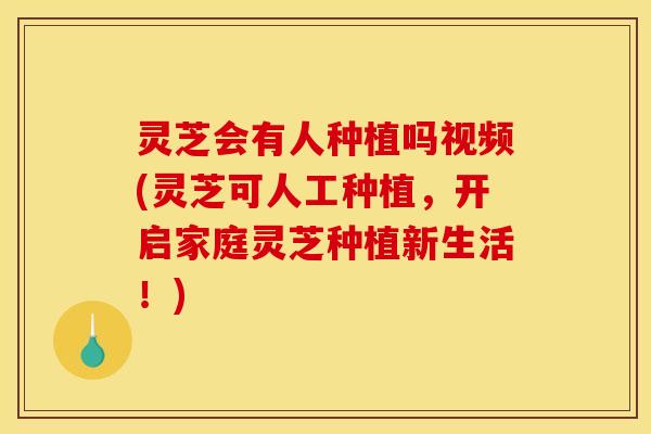 灵芝会有人种植吗视频(灵芝可人工种植，开启家庭灵芝种植新生活！)
