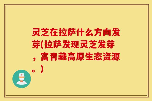 灵芝在拉萨什么方向发芽(拉萨发现灵芝发芽，富青藏高原生态资源。)