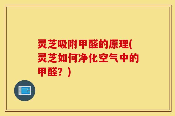 灵芝吸附甲醛的原理(灵芝如何净化空气中的甲醛？)