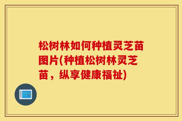 松树林如何种植灵芝苗图片(种植松树林灵芝苗，纵享健康福祉)