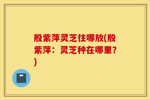 殷紫萍灵芝往哪放(殷紫萍：灵芝种在哪里？)