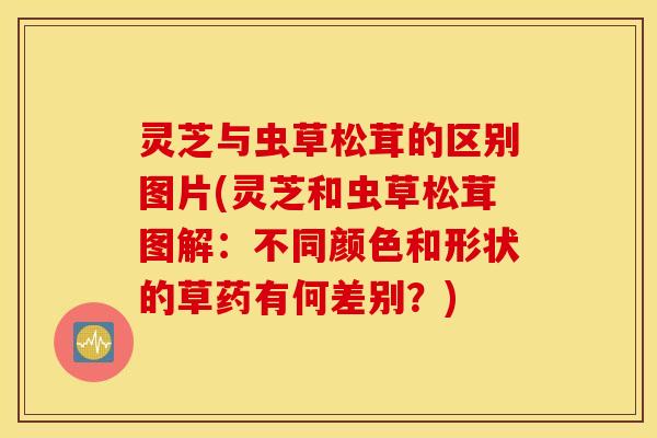 灵芝与虫草松茸的区别图片(灵芝和虫草松茸图解：不同颜色和形状的草药有何差别？)