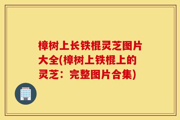 樟树上长铁棍灵芝图片大全(樟树上铁棍上的灵芝：完整图片合集)