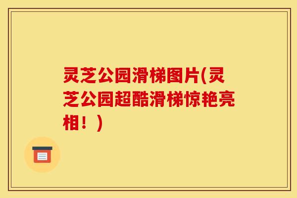 灵芝公园滑梯图片(灵芝公园超酷滑梯惊艳亮相！)