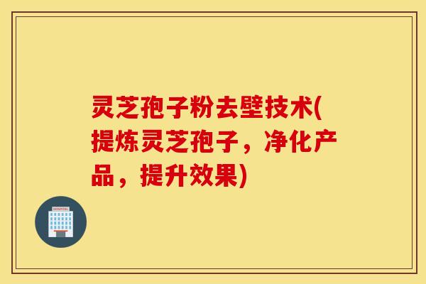 灵芝孢子粉去壁技术(提炼灵芝孢子，净化产品，提升效果)