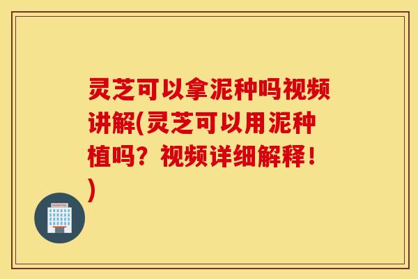 灵芝可以拿泥种吗视频讲解(灵芝可以用泥种植吗？视频详细解释！)