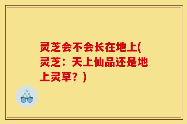灵芝会不会长在地上(灵芝：天上仙品还是地上灵草？)