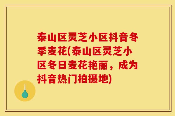 泰山区灵芝小区抖音冬季麦花(泰山区灵芝小区冬日麦花艳丽，成为抖音热门拍摄地)
