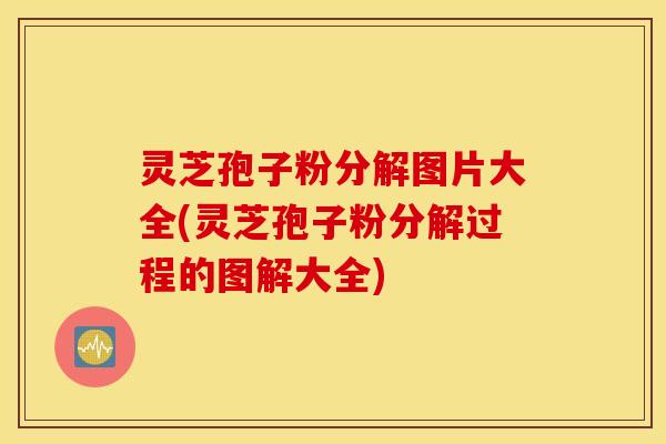 灵芝孢子粉分解图片大全(灵芝孢子粉分解过程的图解大全)