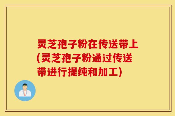 灵芝孢子粉在传送带上(灵芝孢子粉通过传送带进行提纯和加工)