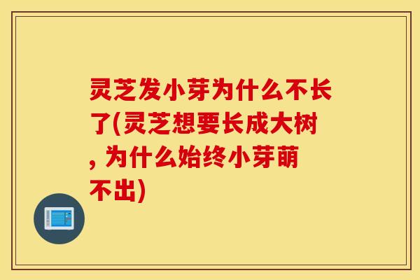 灵芝发小芽为什么不长了(灵芝想要长成大树, 为什么始终小芽萌不出)