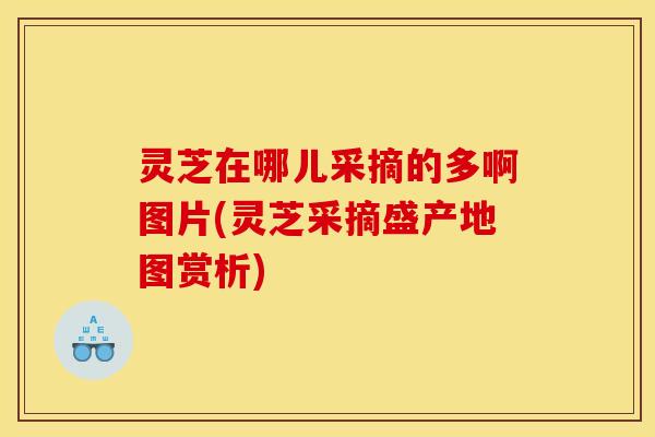 灵芝在哪儿采摘的多啊图片(灵芝采摘盛产地图赏析)